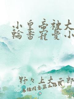 小皇帝被大臣们轮番宠爱小说