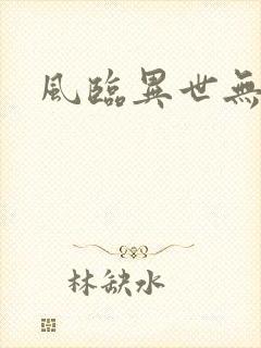 风临异世无弹窗