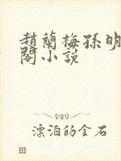 赵兰梅孙明笔趣阁小说