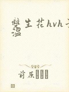 双生花hvh予温