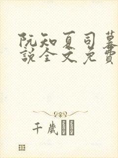 阮知夏司暮寒小说全文免费