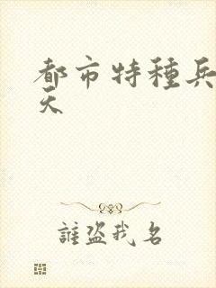 都市特种兵 任天