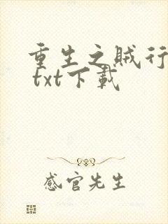 重生之贼行天下 txt下载