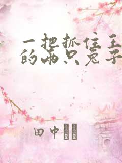 一把抓住王昭君的两只兔子