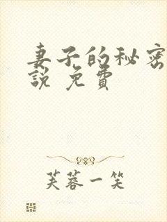 妻子的秘密 小说 免费