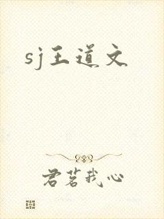 sj王道文