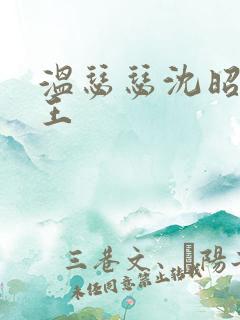 温瑟瑟沈昭摄政王