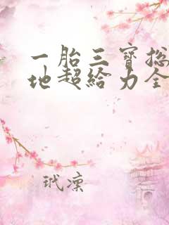 一胎三宝总裁爹地超给力全文免费阅读