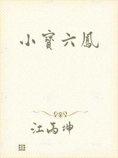 小宝六凤