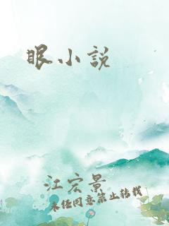 眼小说
