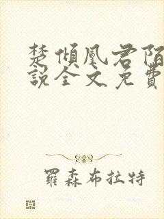 楚倾凰君陌尘小说全文免费阅读