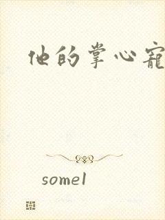 他的掌心宠