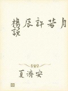 杨辰许若月的小说