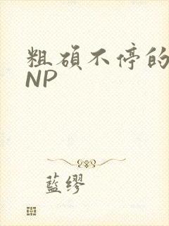 粗硕不停的进出NP
