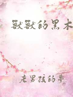 兽兽的黑木耳