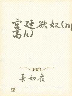 宫廷欲奴(np高h)