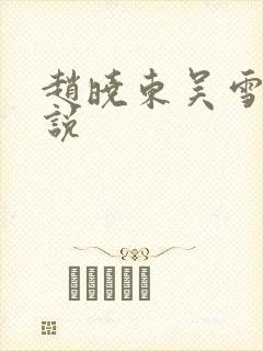 赵晓东吴雪晴小说