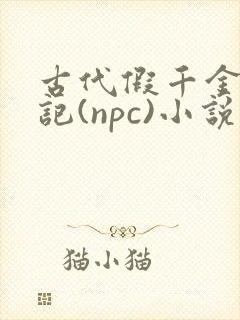 古代假千金挨日记(npc)小说