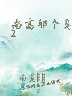 尚高那个臭小子2