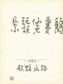 亵玩仙尊的道侣小说免费阅读