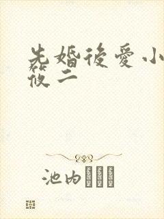 先婚后爱小说梦筱二