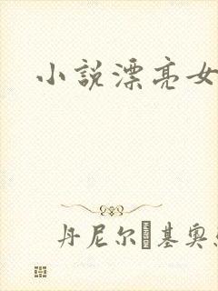 小说漂亮女局长