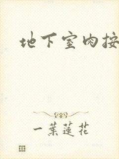 地下室肉按摩椅