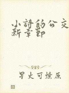 小诗的公交车最新章节