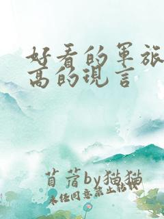 好看的军旅肉质高的现言