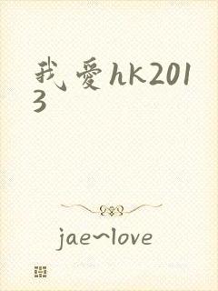 我爱hk2013