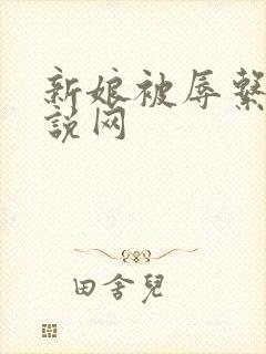 新娘被辱系列小说网