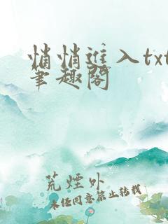 悄悄进入txt笔趣阁