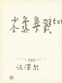 少年枭雄txt全集下载