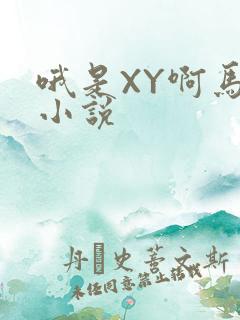 哦是XY啊马仔小说