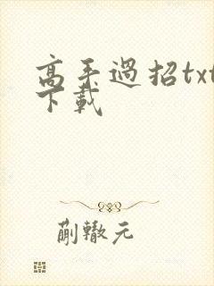 高手过招txt下载