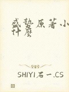 盛势原著小说叫什么