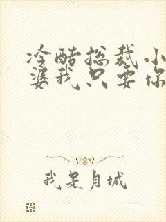 冷酷总裁小小老婆我只要你