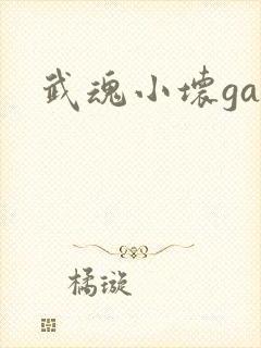 武魂小坏ga