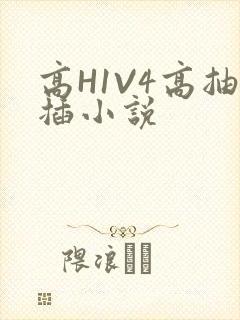 高H1V4高抽插小说