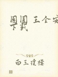 团圆 王全安 下载