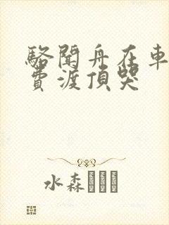 骆闻舟在车里把费渡顶哭