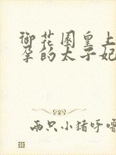 御花园皇上C有孕的太子妃