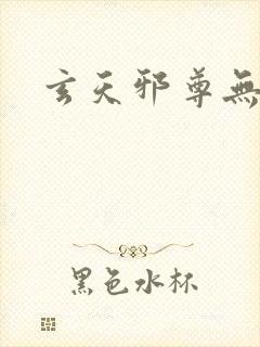 玄天邪尊无弹窗