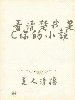 看清楚我是怎么C你的小说