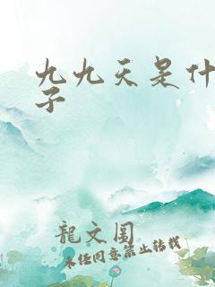 九九天是什么日子