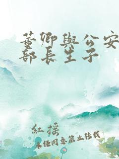 董卿与公安部副部长生子