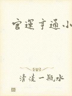官运亨通小说