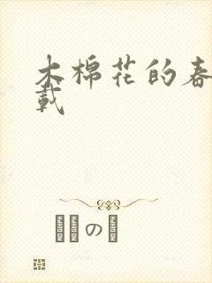 木棉花的春天下载