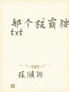 那个校霸腰好软txt