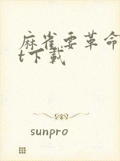 麻雀要革命txt下载